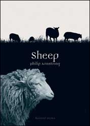 SHEEP 1