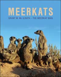 MEERKATS 1