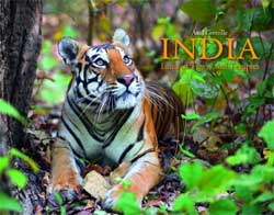 INDIA. LAND OF TIGERS AND TEMPLES 1