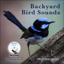 BACKYARD BIRD SOUNDS 1