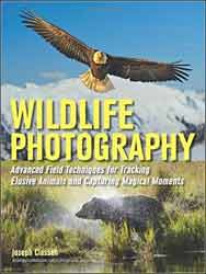 WILDLIFE PHOTOGRAPHY. ADVANCED FIELD TECHNIQUES FOR TRACKING ELUSIVE ANIMALS AND CAPTURING MAGICAL MOMENTS 1