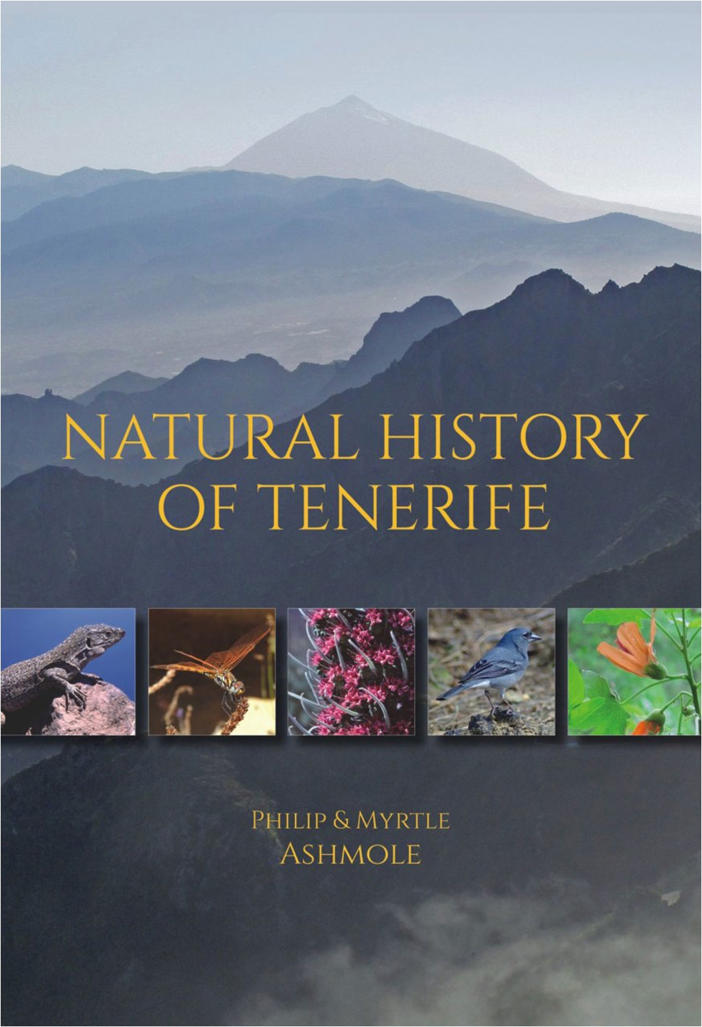NATURAL HISTORY OF TENERIFE 1