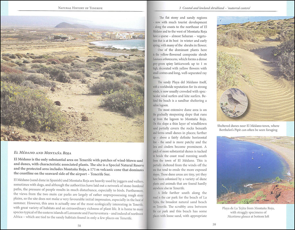 NATURAL HISTORY OF TENERIFE 2