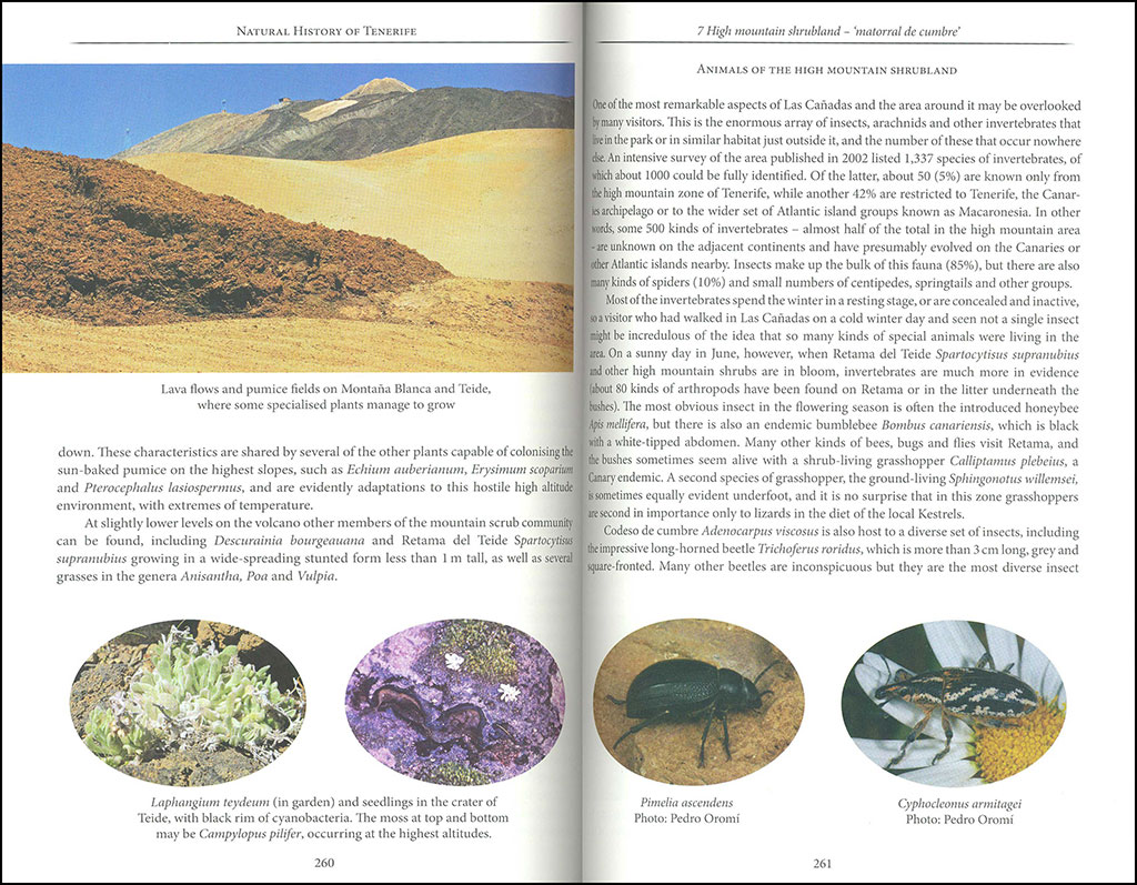 NATURAL HISTORY OF TENERIFE 4