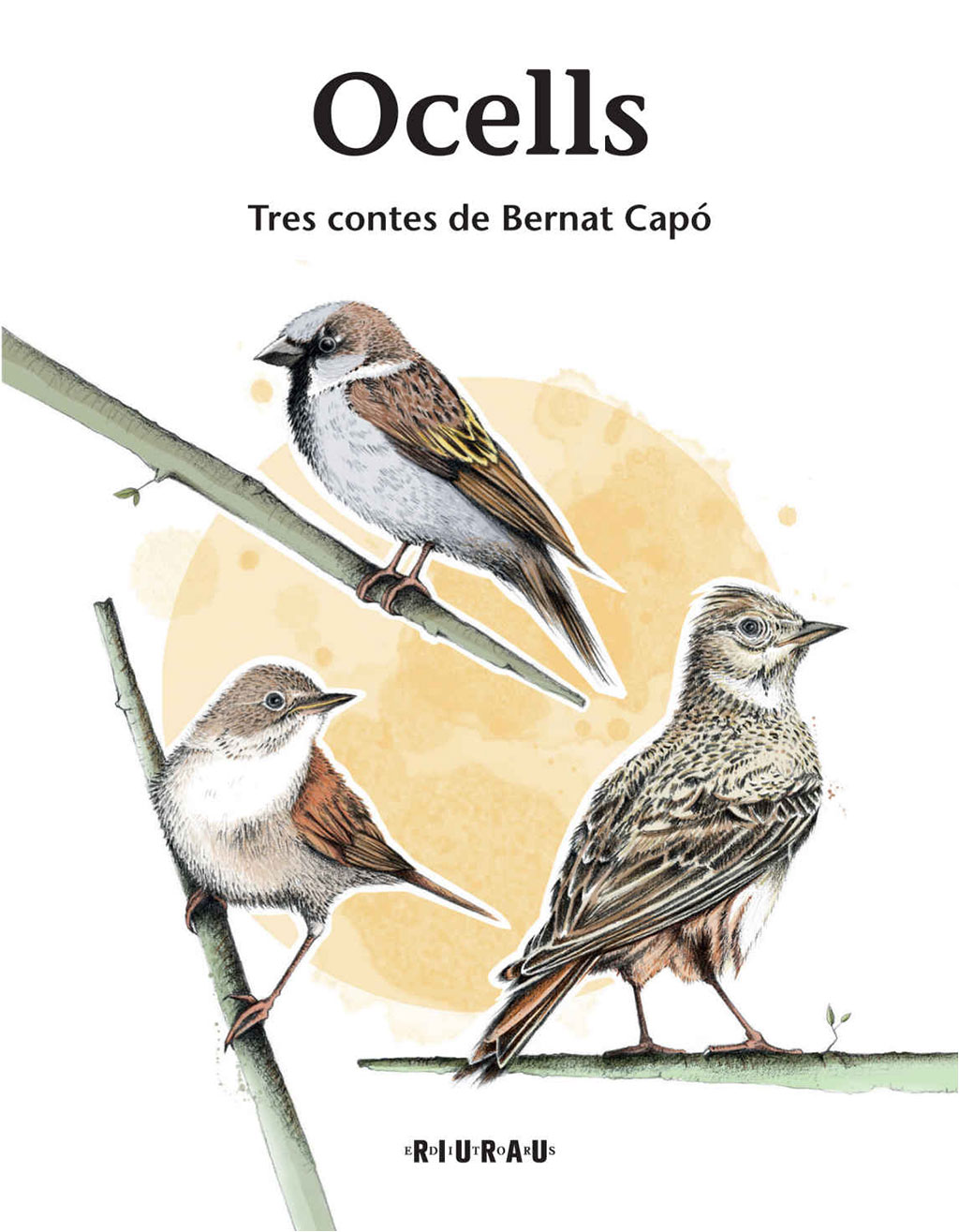 OCELLS. TRES CONTES DE BERNAT CAPÓ 1