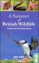 A SUMMER OF BRITISH WILDLIFE. 100 GREAT DAYS OU WATCHING WILDLIFE 1