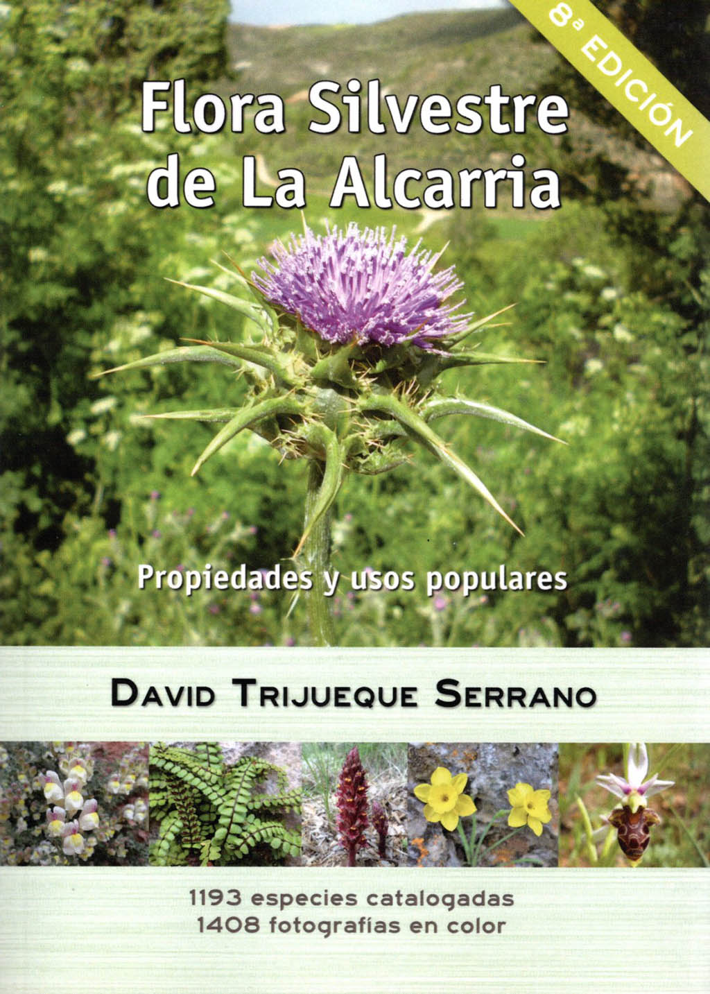 FLORA SILVESTRE DE LA ALCARRIA 1