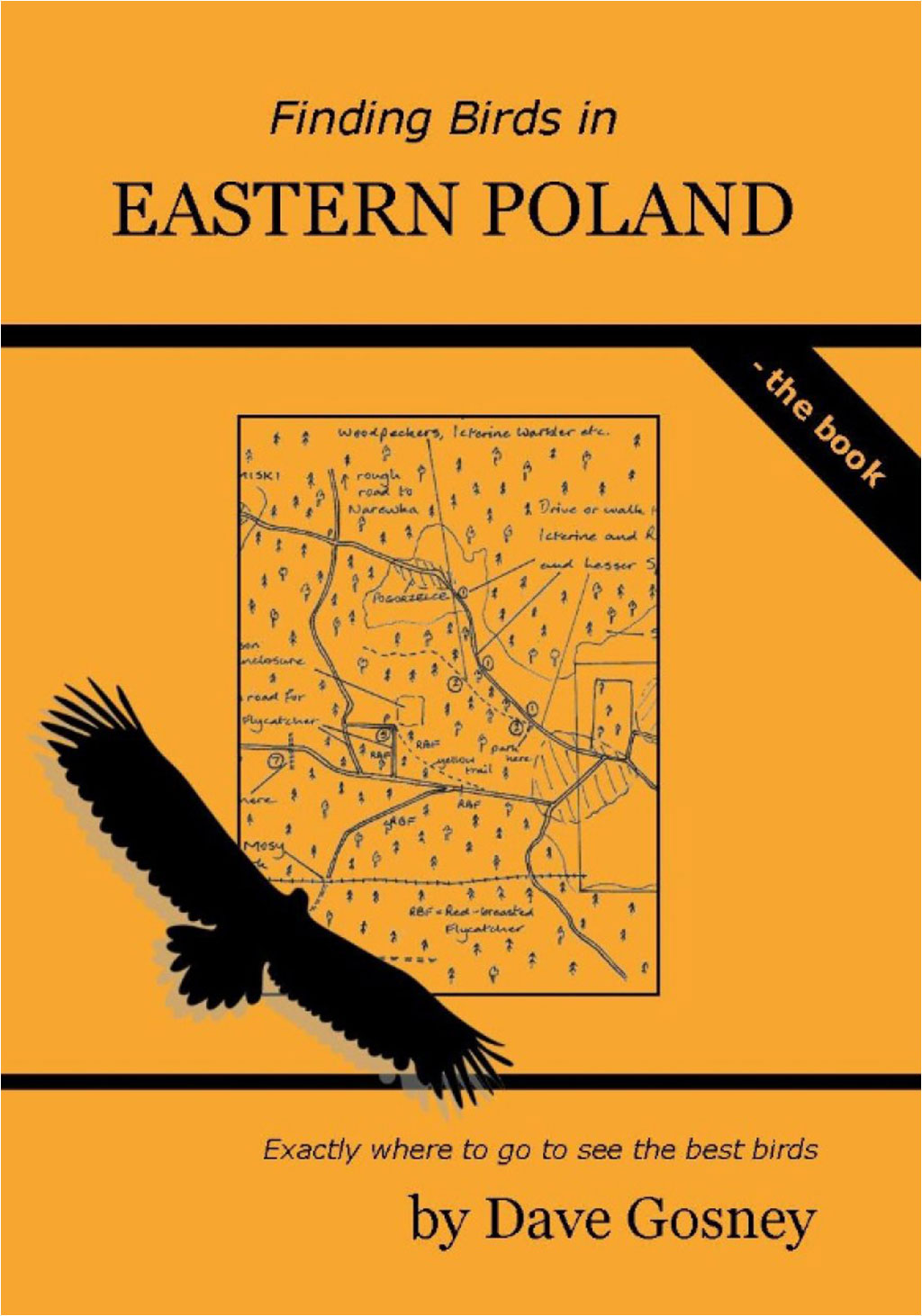 FINDING BIRDS IN EASTERN POLAND 1
