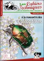 À LA RENCONTRE DES COLÉOPTÈRES 1