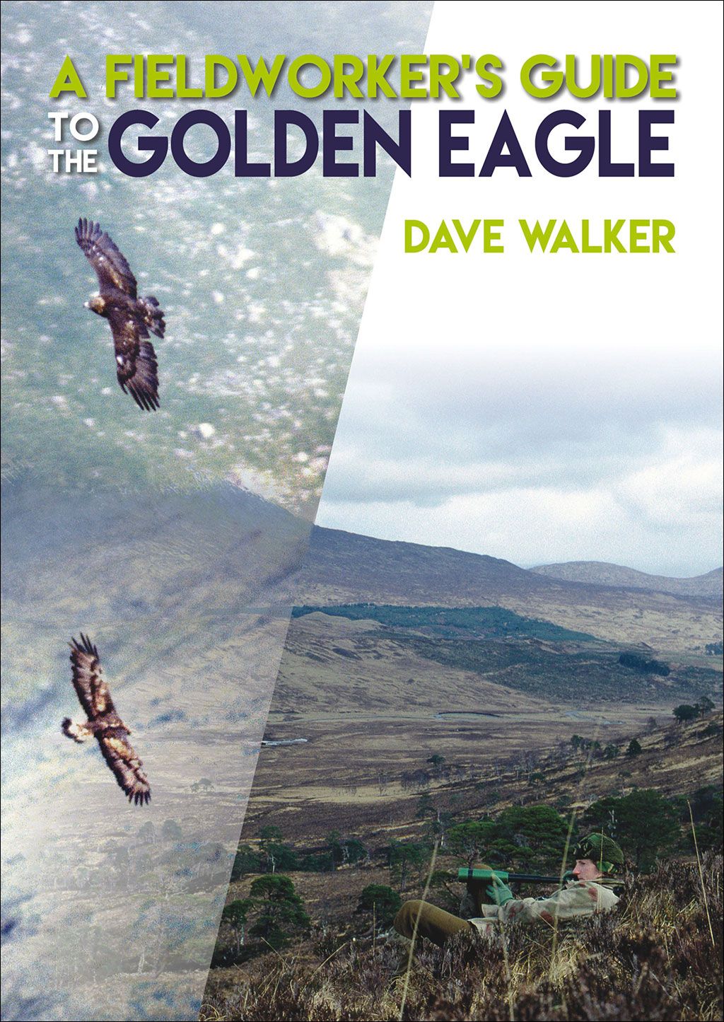 A FIELDWORKER'S GUIDE TO THE GOLDEN EAGLE 1