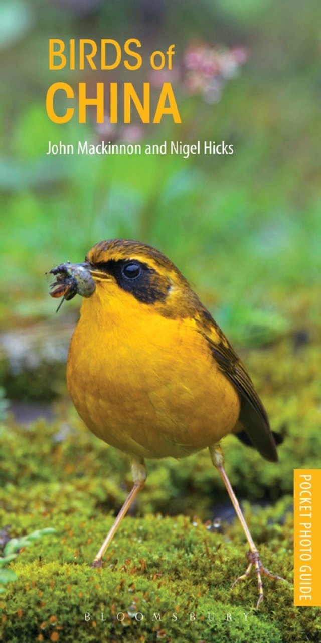 POCKET PHOTO GUIDE TO THE BIRDS OF CHINA 1