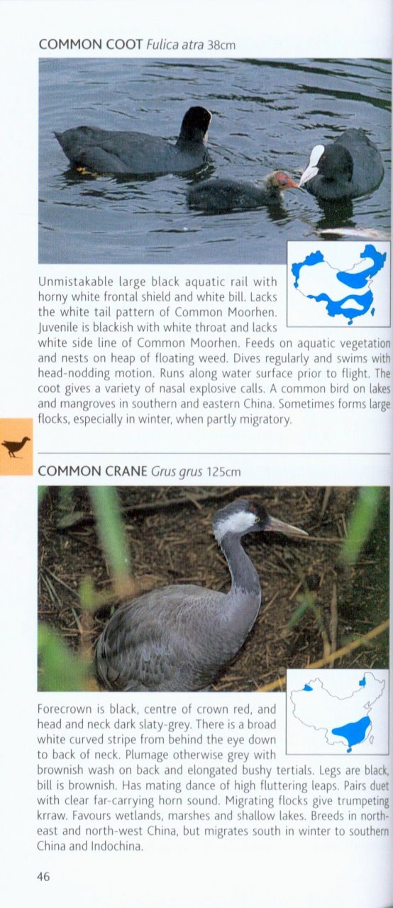 POCKET PHOTO GUIDE TO THE BIRDS OF CHINA 2