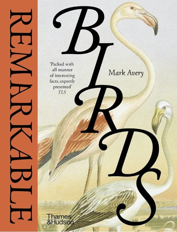 REMARKABLE BIRDS 1