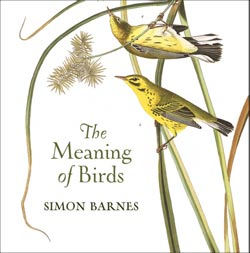 THE MEANING OF BIRDS 1