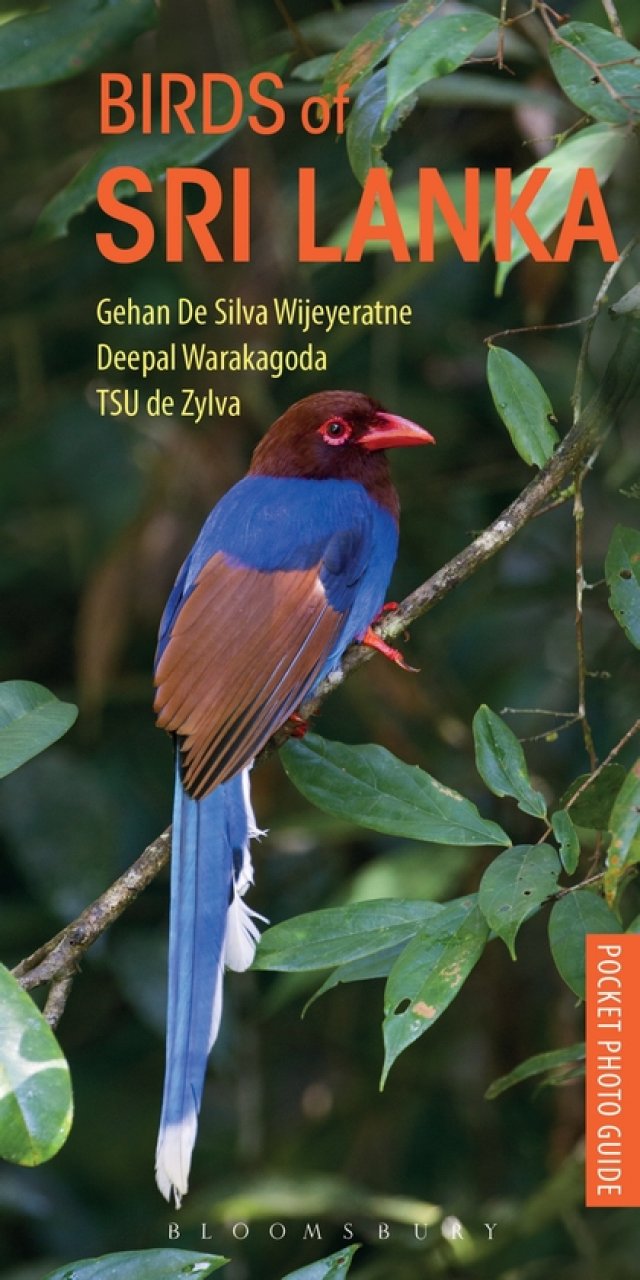 POCKET PHOTO GUIDE TO THE BIRDS OF SRI LANKA 1