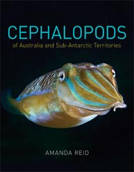 CEPHALOPODS OF AUSTRALIA AND SUB-ANTARCTIC TERRITORIES 1