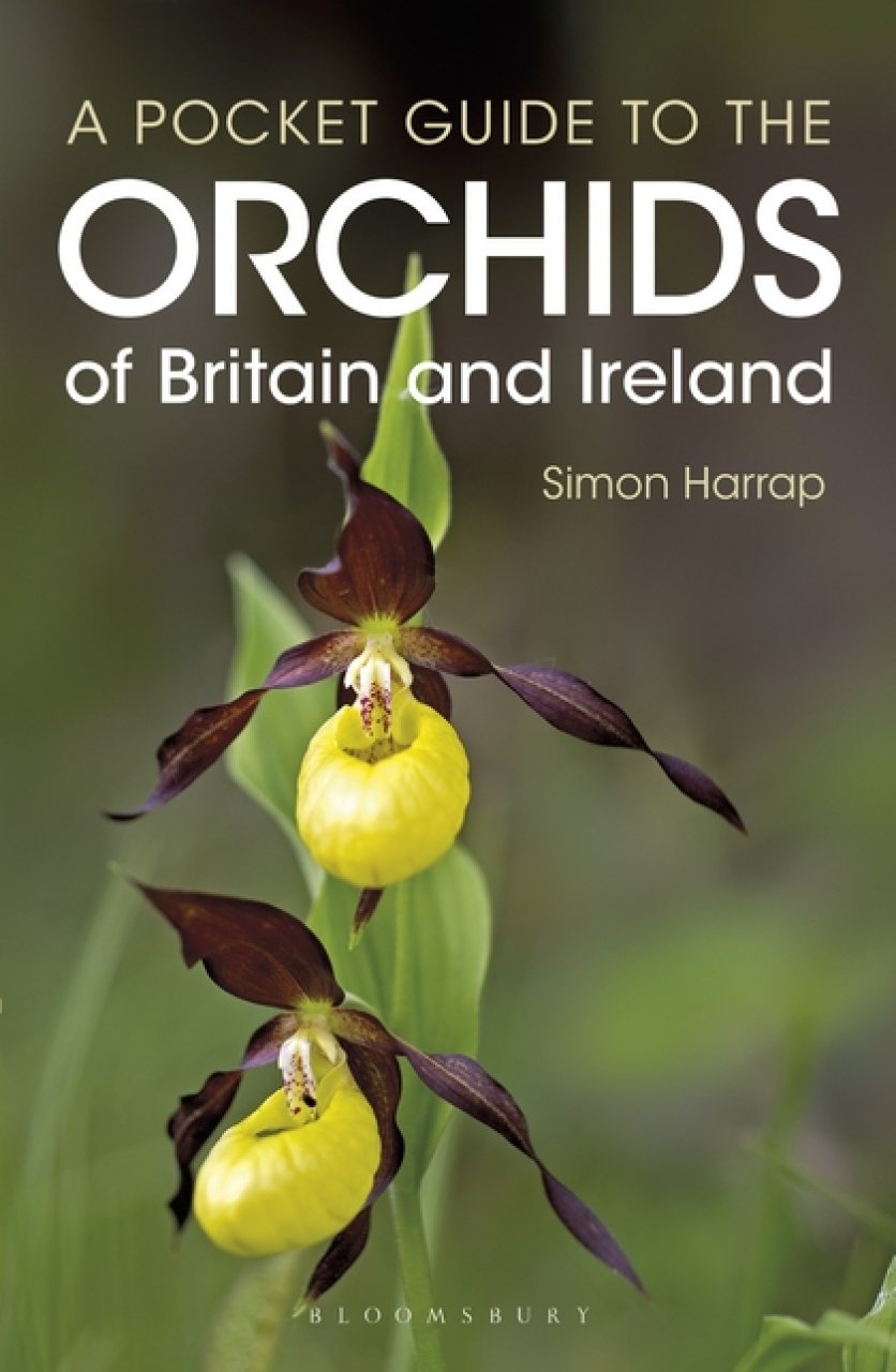 A POCKET GUIDE TO THE ORCHIDS OF BRITAIN AND IRELAND 1