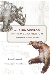 THE RHINOCEROS AND THE MEGATHERIUM. AN ESSAY IN NATURAL HISTORY 1