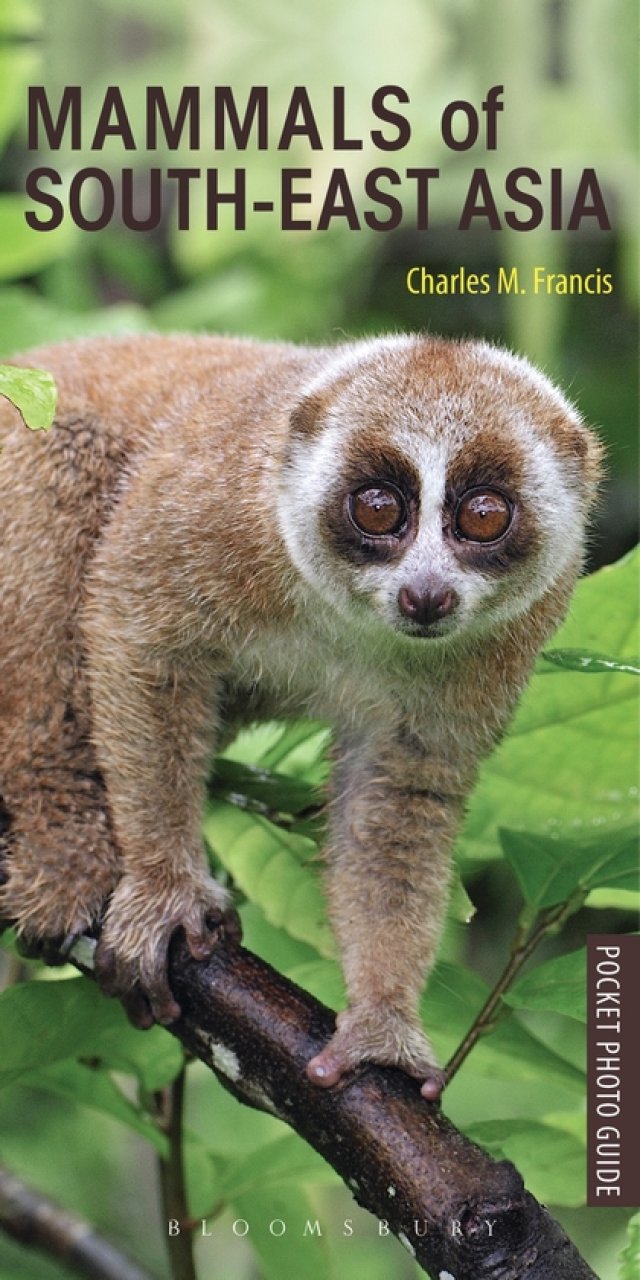 POCKET PHOTO GUIDE TO THE MAMMALS OF SOUTH-EAST ASIA 1