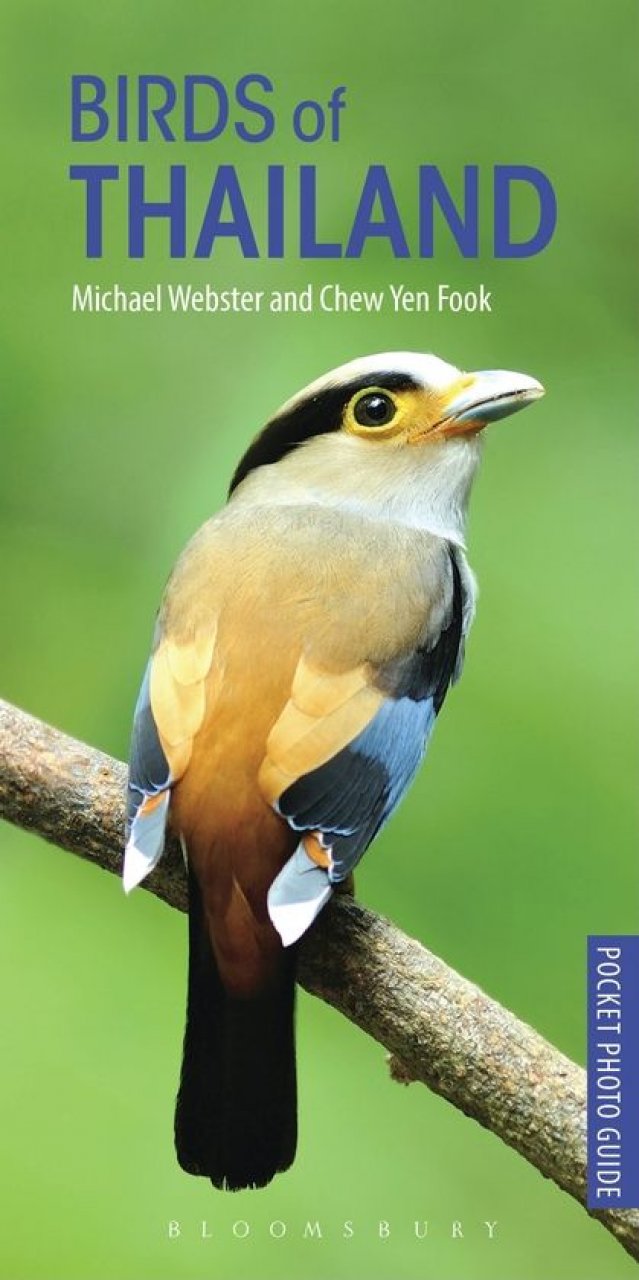 POCKET PHOTO GUIDE TO THE BIRDS OF THAILAND 1