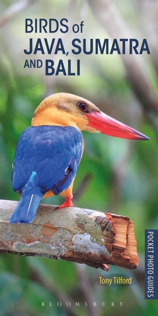 POCKET PHOTO GUIDE TO THE BIRDS OF JAVA, SUMATRA AND BALI 1