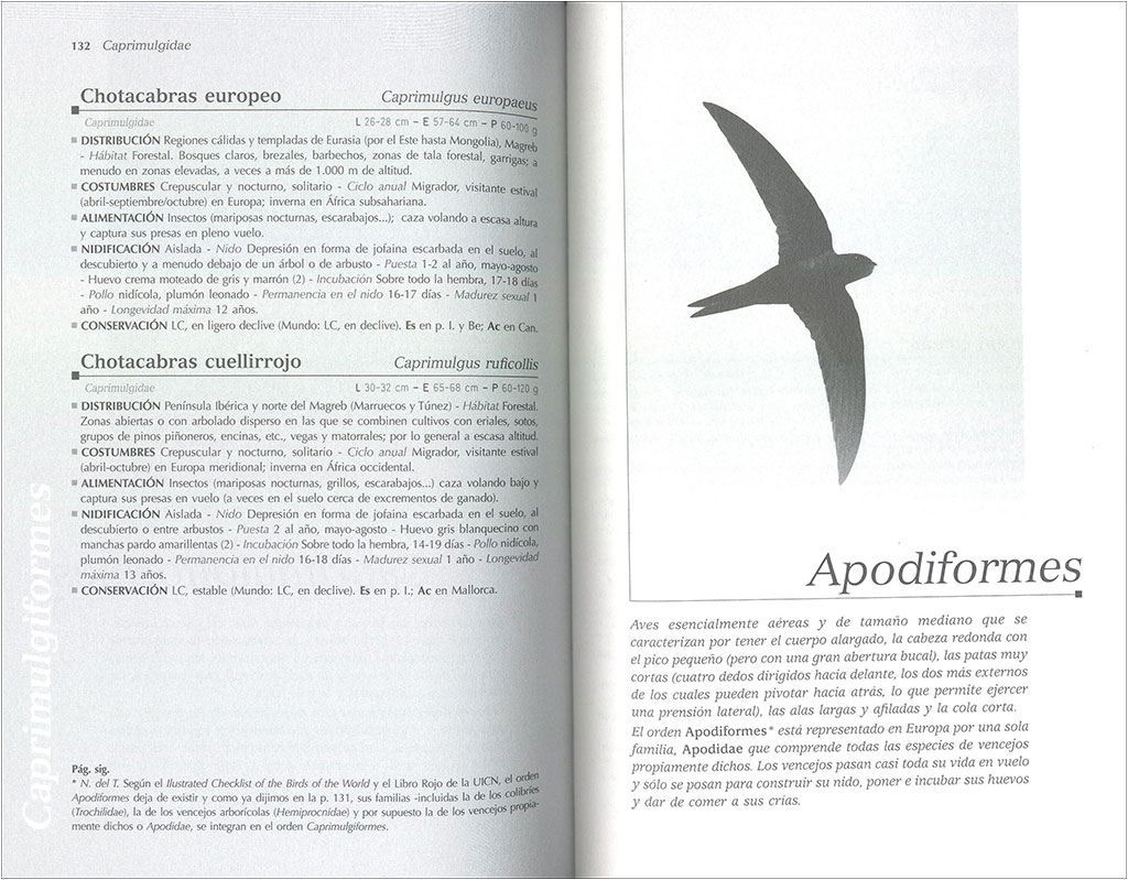 TODO SOBRE LAS AVES DE EUROPA 4