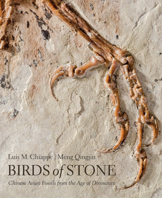 BIRDS OF STONE. CHINESE AVIAN FOSSILS FROM THE AGE OF DINOSAURS 1