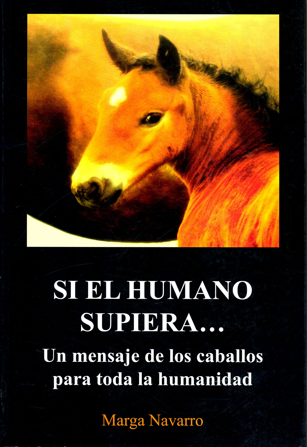 SI EL HUMANO SUPIERA...UN MENSAJE DE LOS CABALLOS PARA TODA LA HUMANIDAD. 1