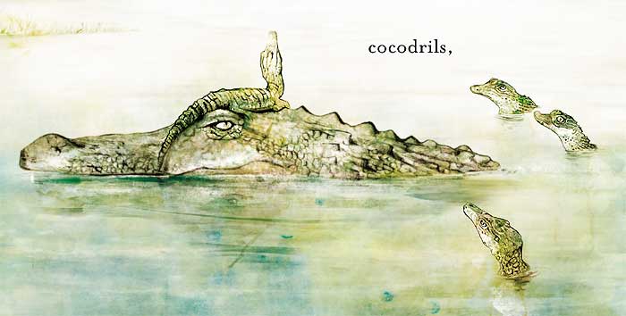 A LA SELVA 2