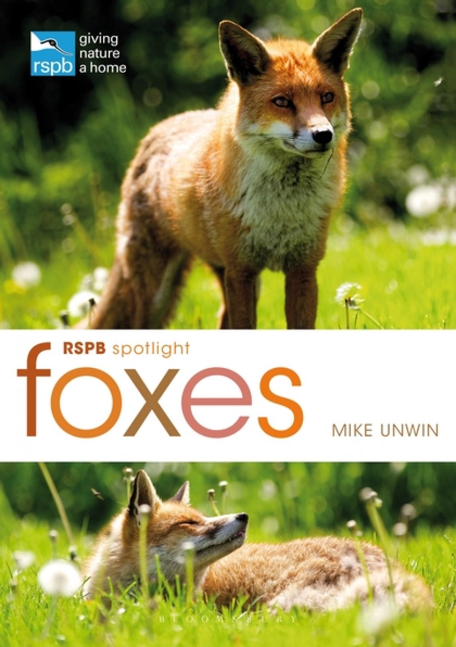 RSPB SPOTLIGHT: FOXES 1