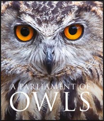 A PARLIAMENT OF OWLS 1