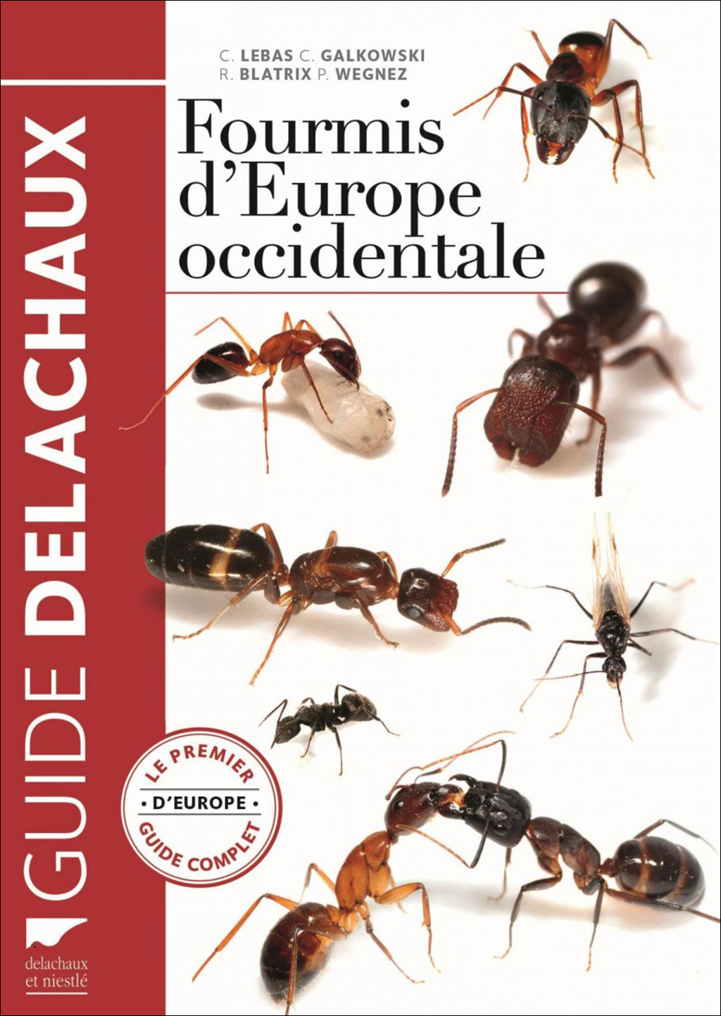 FOURMIS D'EUROPE OCCIDENTALE 1
