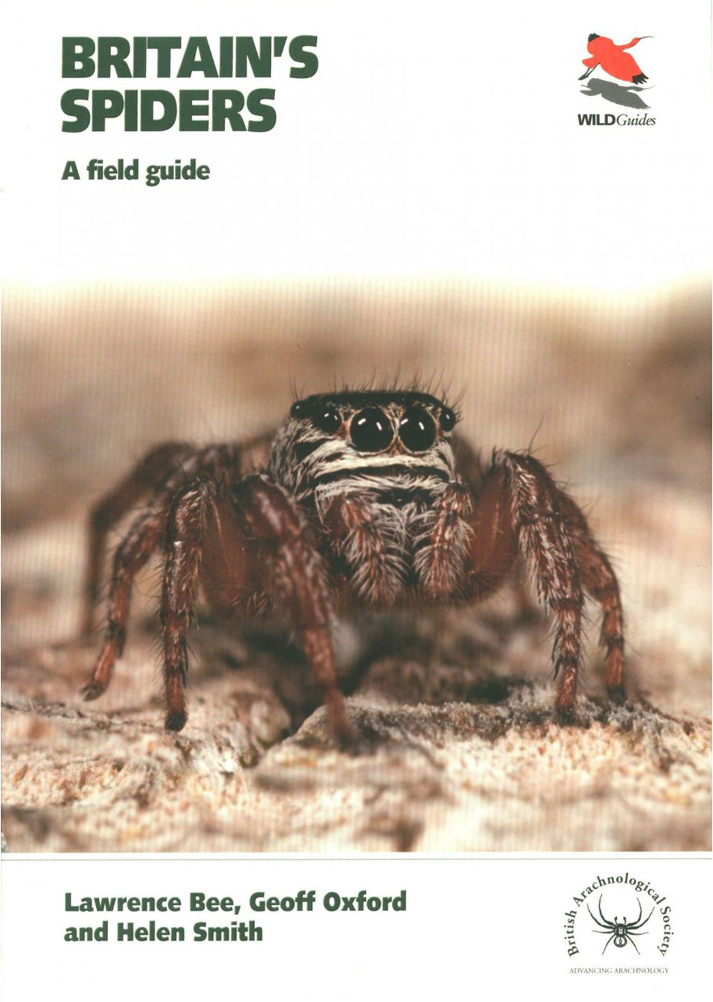 BRITAIN'S SPIDERS: A FIELD GUIDE 1