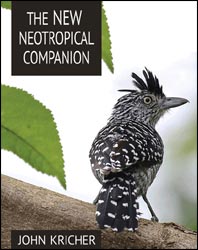 THE NEW NEOTROPICAL COMPANION 1