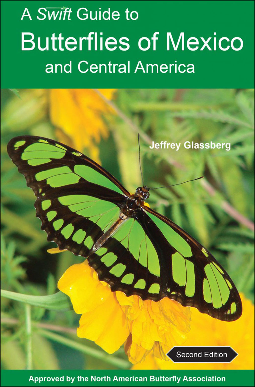A SWIFT GUIDE TO BUTTERFLIES OF MEXICO AND CENTRAL AMERICA. 2ND ED. 1