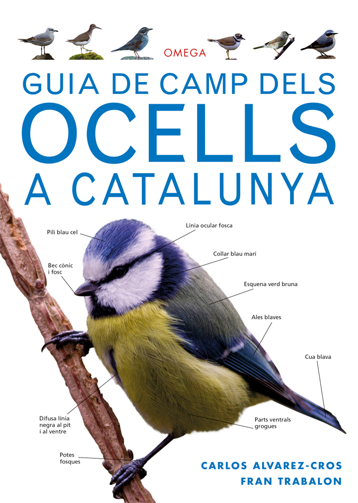 GUIA DE CAMP DELS OCELLS A CATALUNYA 1