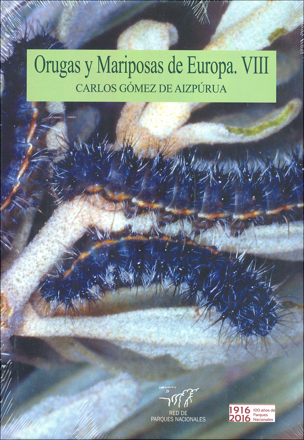 ORUGAS Y MARIPOSAS DE EUROPA. VIII 1