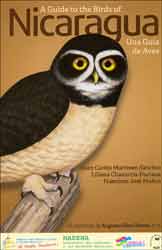 A GUIDE TO THE BIRDS OF NICARAGUA. UNA GUÍA DE AVES 1