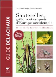 SAUTERELLES, GRILLONS ET CRIQUETS D'EUROPE OCCIDENTALE 1