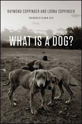 WHAT IS A DOG? 1
