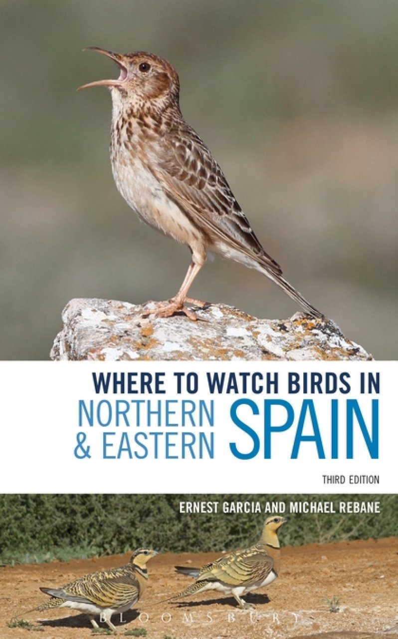 WHERE TO WATCH BIRDS IN NORTHERN &AMP; EASTERN SPAIN 1