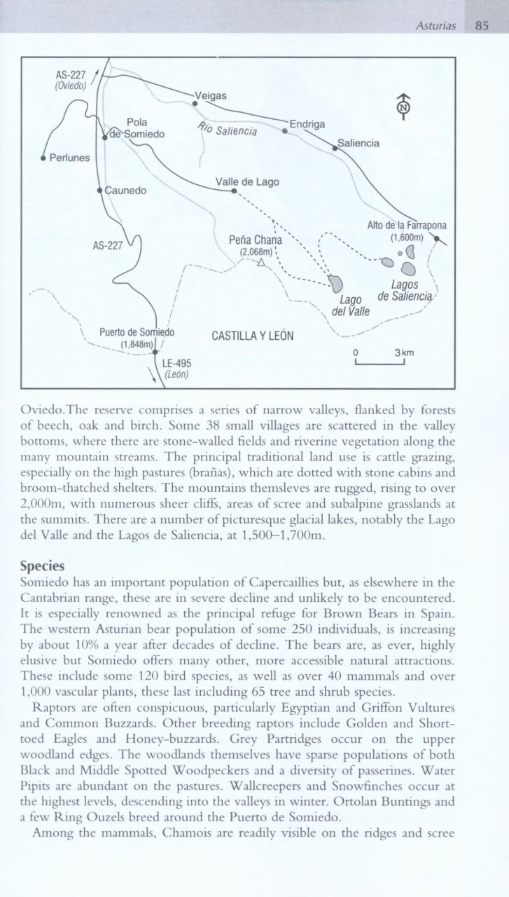 WHERE TO WATCH BIRDS IN NORTHERN &AMP; EASTERN SPAIN 3