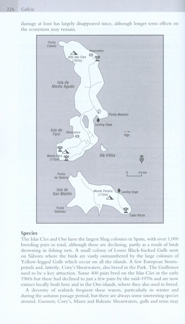 WHERE TO WATCH BIRDS IN NORTHERN &AMP; EASTERN SPAIN 6