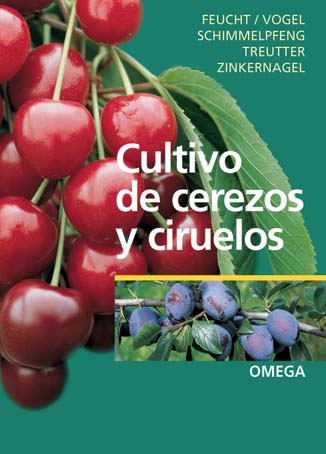 CULTIVO DE CEREZOS Y CIRUELOS 1