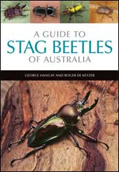 A GUIDE TO STAG BEETLES OF AUSTRALIA 1