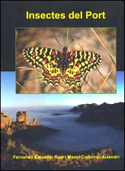 INSECTES DEL PORT 1