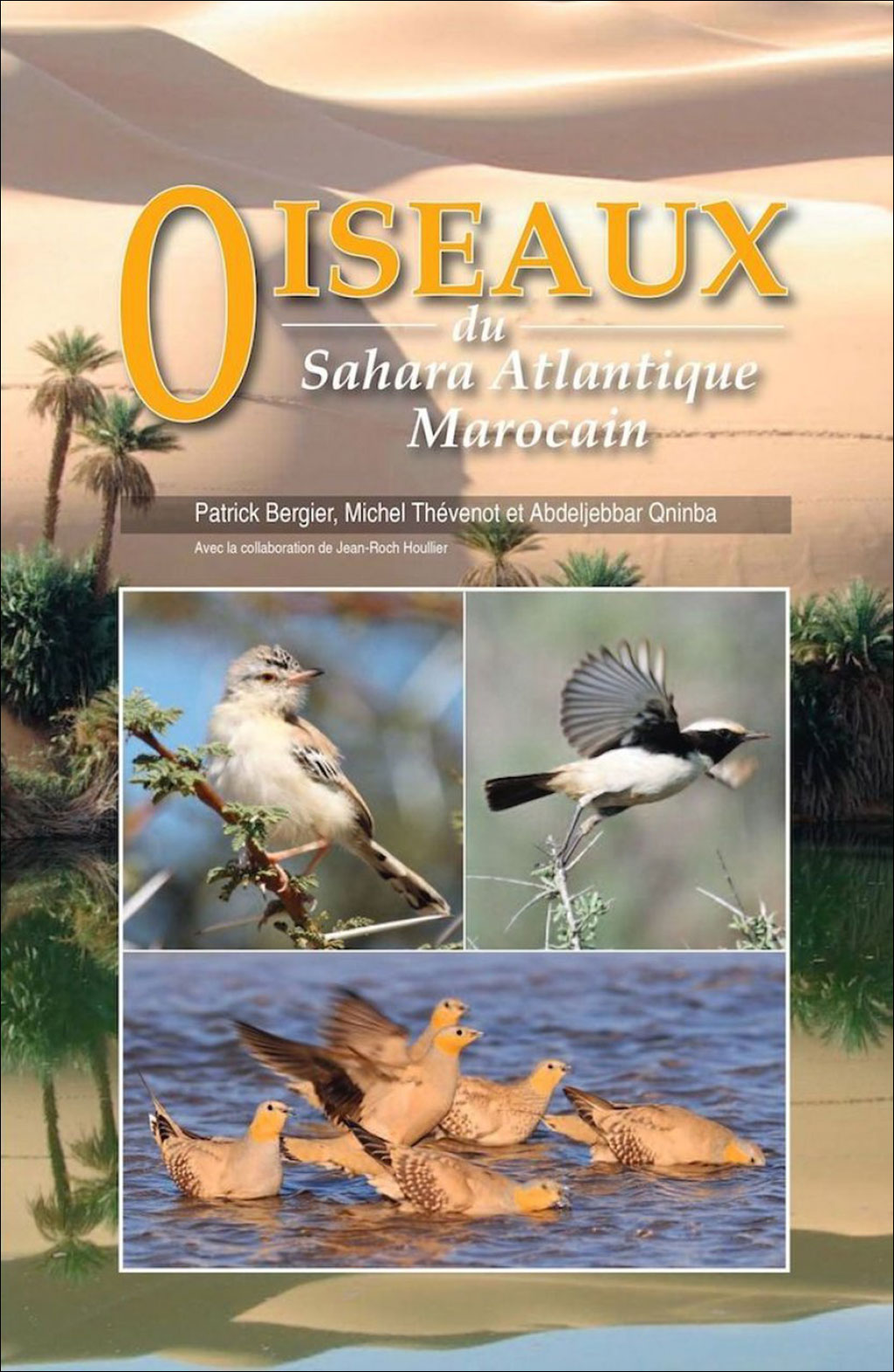 OISEAUX DU SAHARA ATLANTIQUE MAROCAIN 1