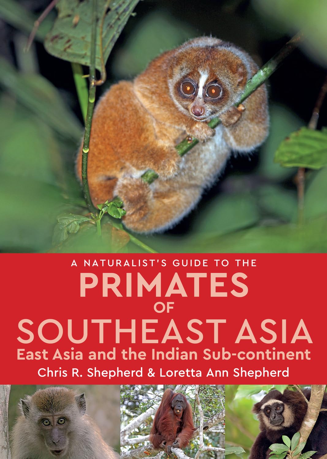 A NATURALIST'S GUIDE TO THE PRIMATES OF SOUTHEAST ASIA, EAST ASIA AND THE INDIAN SUBCONTINENT 1