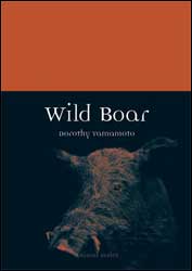 WILD BOAR 1