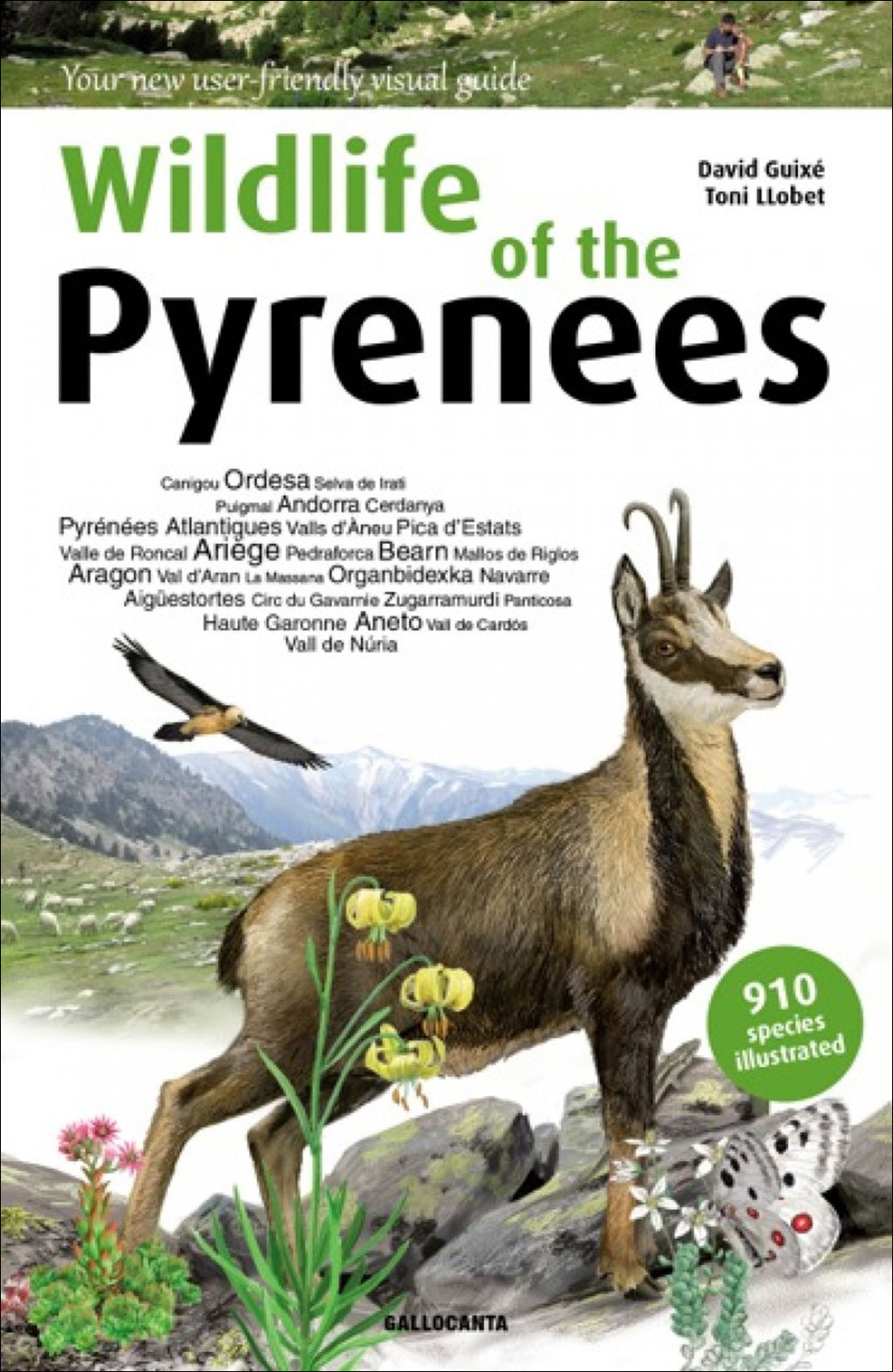 WILDLIFE OF THE PYRENEES 1